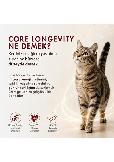 Core Longevity Kedi, Koenzim Q10, Nad+, Pqq, Kompleksi, 30 Tablet