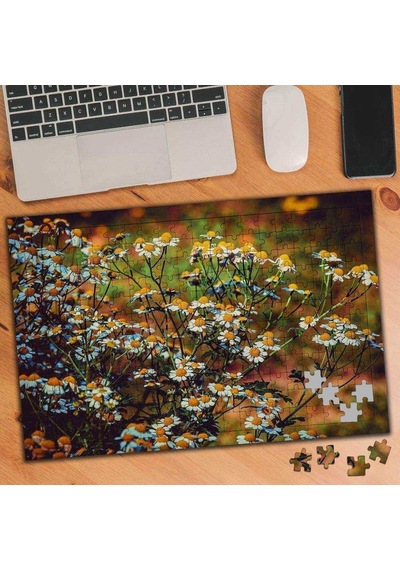 Bahar Papatyası- Taze Çiçek 240 Parça Puzzle Yapboz-3566879