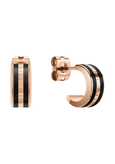 Daniel Wellington Dw00400310 Kadın Küpe Diğer