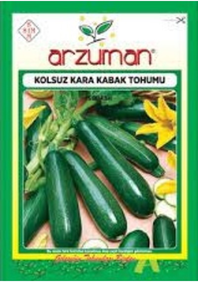 1 Paket Tohum Nadir Kara Kolsuz Kabak Tohumu Dolmalık