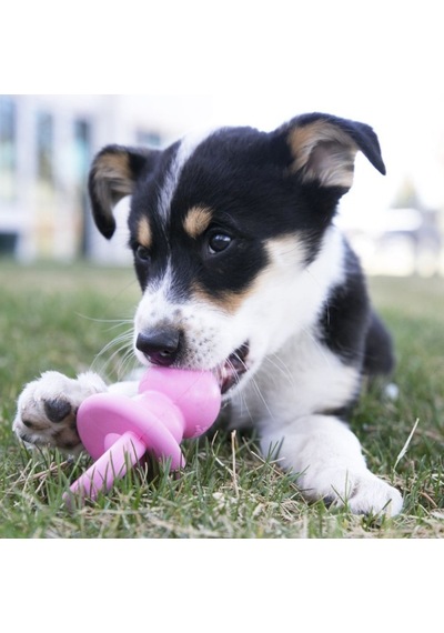 Hnrlıshp Kong Puppy Yavru Köpek Diş Kaşıma Emzik M 13,5cm