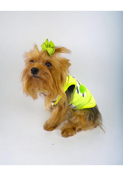 Lime Fuzz Atlet Köpek Kıyafeti Köpek Elbisesi