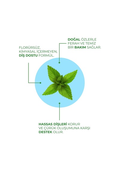 Tr Naneli Florürsüz Ferah Nefes Diş Macunu, 100 Ml