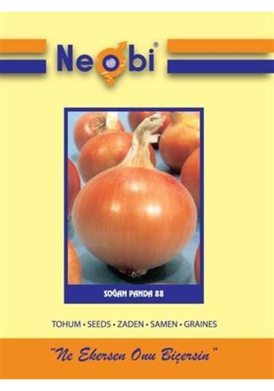 Neobi Soğan Tohumu