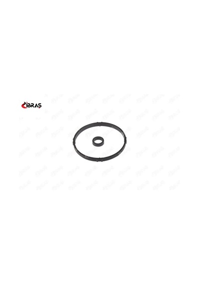 Yağ Filtre Kutu Contasi 206-307-partner 1.6i Ibras 1103.j7 17597