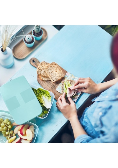 Tupperware 650 ML Buzdolabı Saklama Kabı Çok Renkli