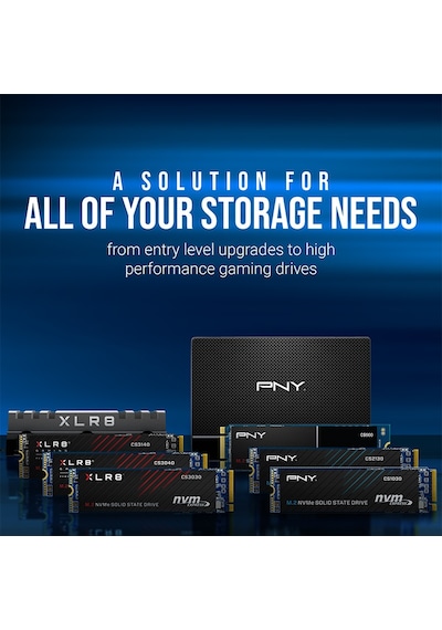 Pny CS900 SSD7CS900-500-RB 500GB 535/500mb/s 2,5" Sata3 Ssd