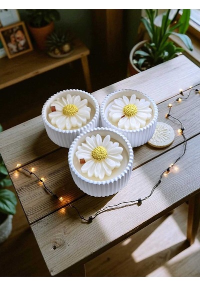 Bernami Mum Pinterest 3'lü Papatya Mum Seti Diğer