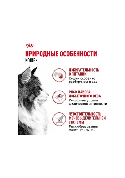 Royal Canin Kedi Maması Instinctive Jöleli 85 G 10 Adet 238639845