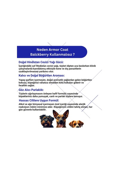 Armor Coat Köpek Bakım Spreyi Böğürtlen Kokulu 200 ML