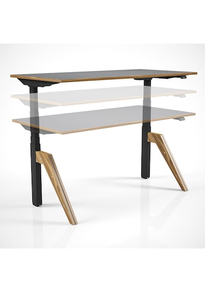 Regula Desk Dandy - Elektrikli Yükseklik Ayarlı Çalışma Masası, Sıradışı Tasarım, Çift Motorlu, Bluetooth Ko Diğer