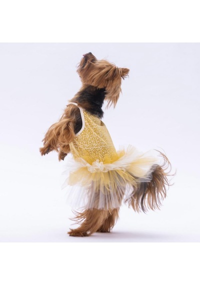 Sarı Polka-dot Kedi Köpek Elbisesi - Kedi Köpek Kıyafeti Sarı Polka-dot Kedi Köpek Elbisesi - Kedi Köpek Kıyafeti