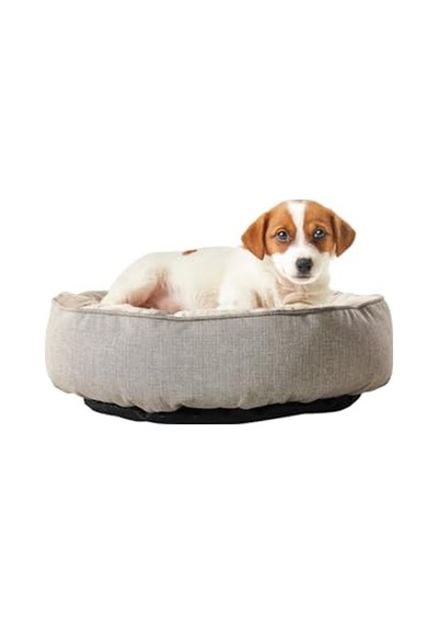 Az Tahıllı 3 Kg Yetişkin Kuzulu Small/mini Hypoallergenic Köpek Sı 100 G