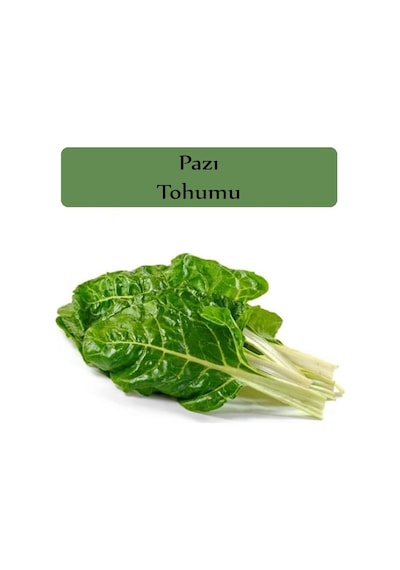 Pazı Tohumu 1 Paket 10gr 1000+ Adet