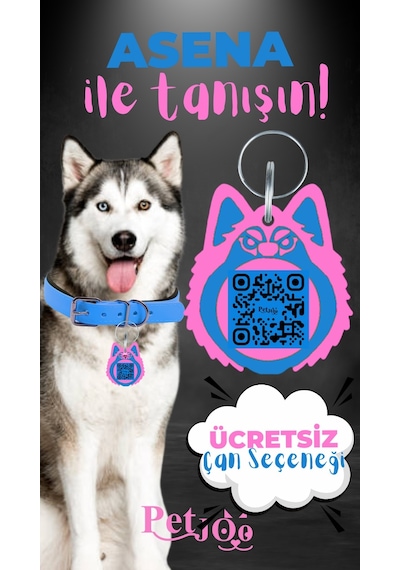 Petjoo 25.Asena Pembe-Mavi Qr'lı Köpek Künyesi