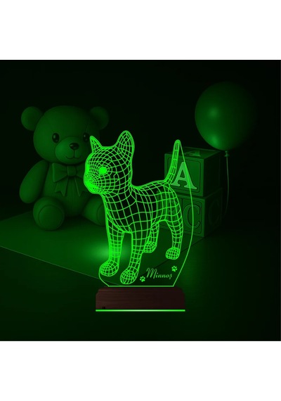 Luvivia Kedi Tasarım Kişiye Özel 3d Lamba - Masa Gece Lambası Şeffaf