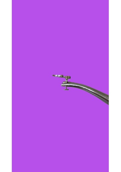 Yılan Figürgü Kıkırdak Tragus Helix Pearsıng Küpe 316l Kararmaz Çelik Altın