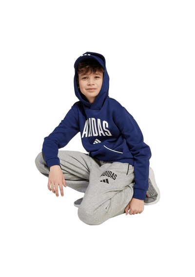 Adidas Çocuk Eşofman Altı J Clgt Fl Pnt Jw2386 Gri
