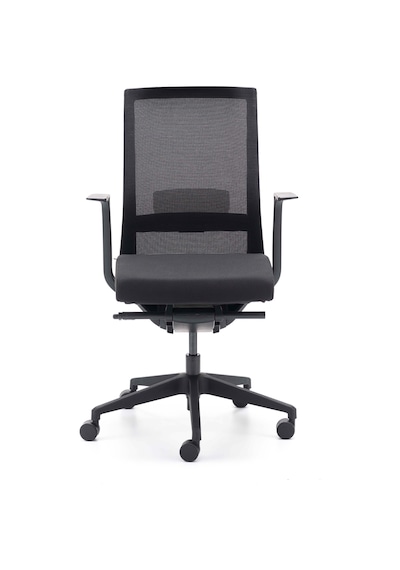 Rapido Rapido Ergonomik Çalışma Koltuğu A-One