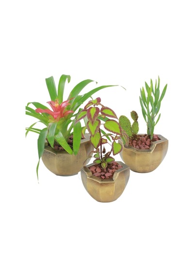 Saksı Çiçek Kaktüs Saksısı Lüx 15 Cm Önü Açık Desenli 3'lü Set Çiçeklik - Altın Eskitme