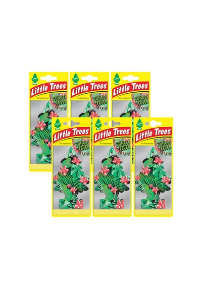Car Freshner Asma Koku 6'lı Orman Ateşi