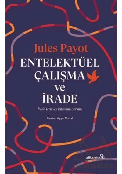 Entelektüel Çalışma Ve İrade Albaraka Yayınları