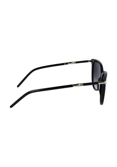 Longchamp Güneş Gözlüğü Lo727s-001