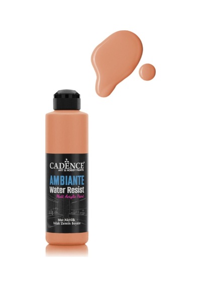 Ambiante Islak Zemin Boyası Aw26 Açık Turuncu 250ml + Katalizör 1