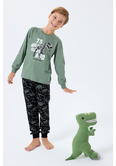 Rolypoly Erkek Çocuk Yeşil Pijama Takım Rp3740-c-v1