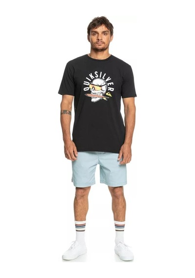 Quiksilver Qsrockinskull M Tees Erkek Tişört - Kvj0