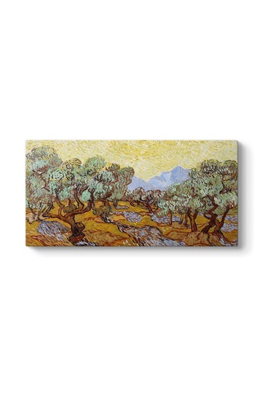 Vincent Van Gogh - Olive Trees Tablosu 100 X 50 -