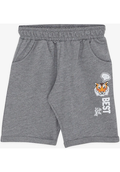 Breeze Girls & Boys Erkek Çocuk Şortlu Takım Kaplan Baskılı 1-4 Yaş, Su Yeşili-su Yeşili Su Yeşili
