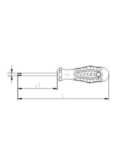 İzeltaş 4776 TR10 Delikli Torx Uçlu Tornavida - 4776180010