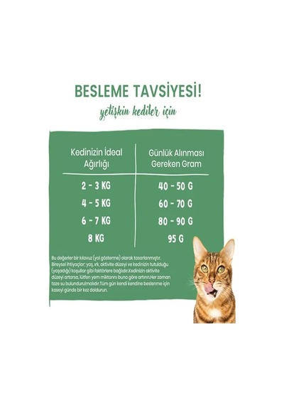 Sensitive With Fresh Poultry Hassas Tüylü Kedi Maması 400 Gr