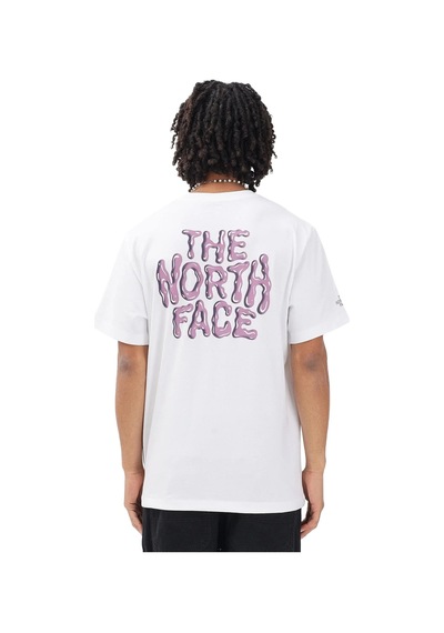 The North Face Drip Logo Relaxed Graphic Erkek Beyaz Outdoor T-shirt Nf0a8gabfn41