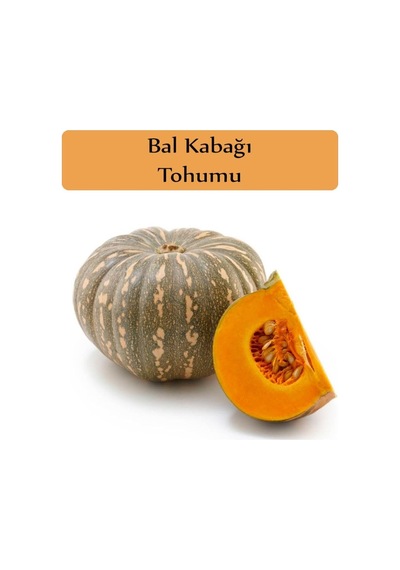 Bal Kabağı Tohumu 1 Paket 10gr 35 + Adet Kabak Tohumu