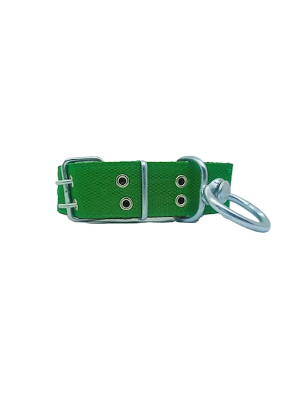 İri Ve Büyük Cinsler İçin Kanğal Köpek Tasması 80x5 Cm Yeşil