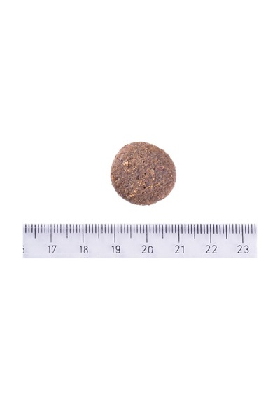 Brit Care Yetişkin Köpekler İçin, Tek Proteinli, Hipoalerjenik, Kuzu Etli Kuru Mama 12 Kg