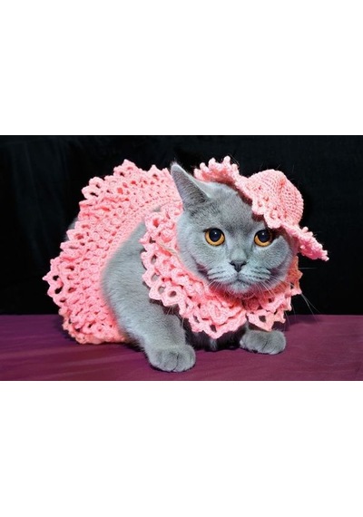 Busako Cat Pembe Özel Tasarım Kedi Kıyafeti