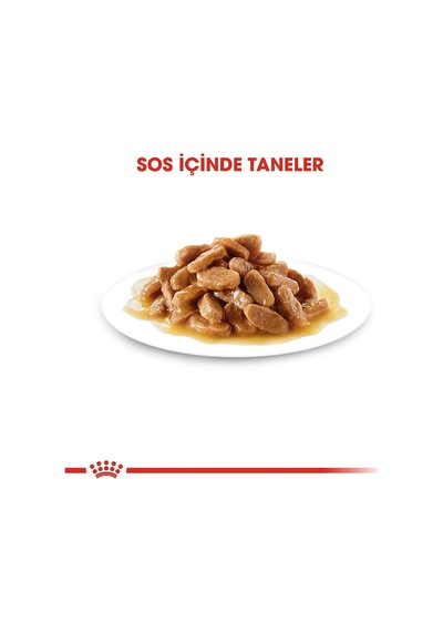 Mini Puppy Köpek Yaş Mama, 85 Gr