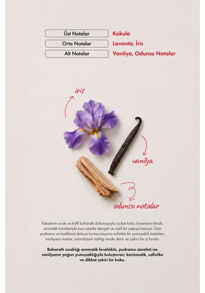 Warm Irıs 100 Ml Nıche Parfüm Odunsu - Oryantal