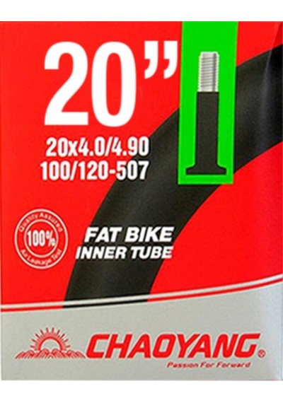 Chaoyang İç Lastik 20 4.0/4.9 - Av48