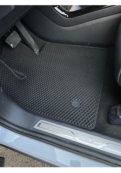 Byd Seal U Eva Paspas Bagaj Havuzu