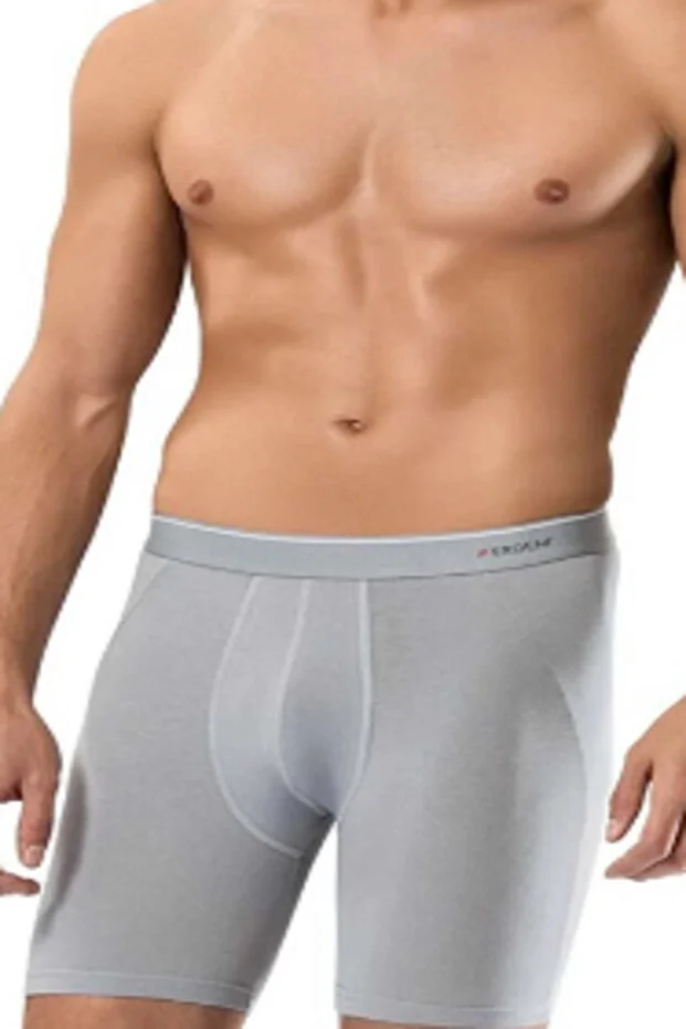 Erdem Erkek Füme Likralı Uzun Paça Boxer Kutulu- 1470f