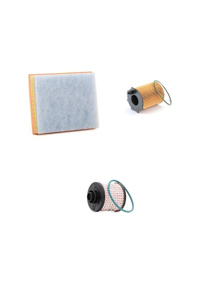 Bosch Filtre Bakım Seti Ds Ds4 4 1.6 Bluehdi Dizel 120 Beygir Hava + Yağ F. + Yakıt Filtre Bosch