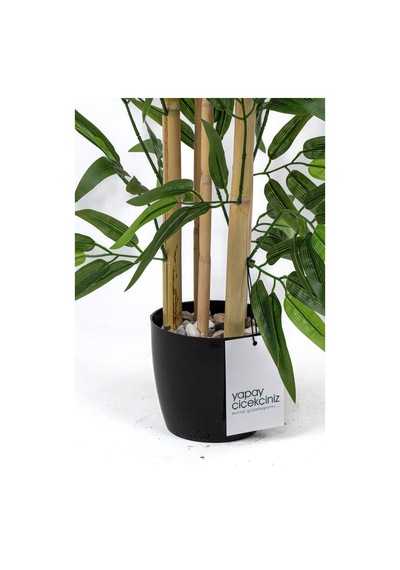 Yapay Çiçekçiniz Taş Detaylı Saksıda 60 Cm Yapay Bambu Ağacı H