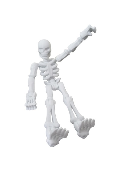 Sök+tak İnsan İskeleti