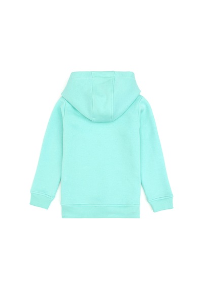U.S. Polo Assn. Kız Çocuk Mint Kapüşonlu Şardonlu Basic Sweatshirt 50314311-VR250