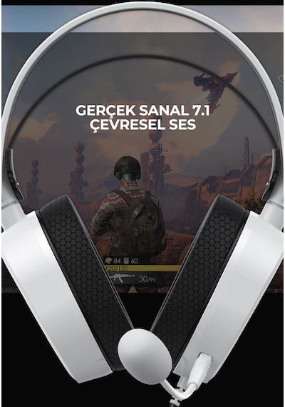 Havit Gamenote H2038U RGB 7.1 USB Mikrofonlu Oyuncu Kulaklığı