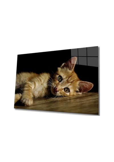 Kedi 4 Cam Tablo